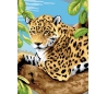 ערכת  ציור במספרים 3 פרוייקטים - חתולי הג'ונגל