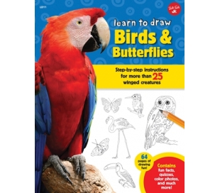 ספר לימוד ציור - ציפורים ופרפרים