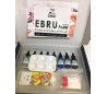 ערכת ציור על מים מרבלינג marbling set