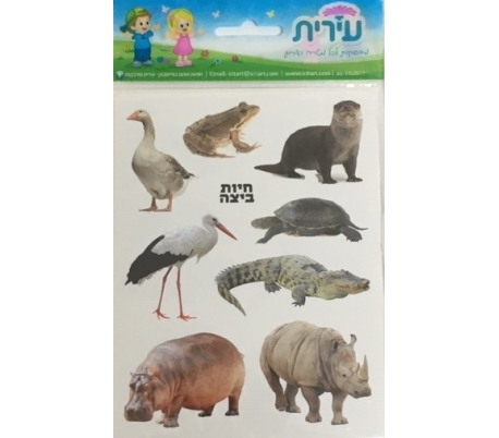 מדבקות לילדים חיות ביצה