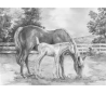 ערכה גדולה ללימוד רישום וציור - סוסים
