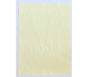 נייר עבודת יד מיוחד צהוב בהיר 5 דפים