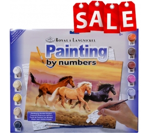 ערכת ציור במספרים סוסי פרא
