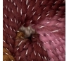 צמר אלאמברה צבעוני במבחר גוונים