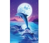 תמונה בשיבוץ אבנים 15*10 סמ -דולפין בירח