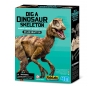 ערכת חפירת שלד דינוזאור Velociraptor