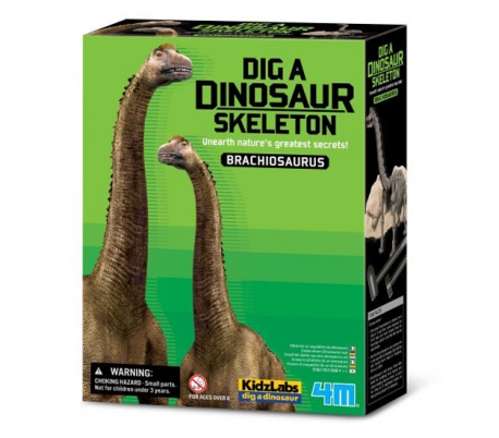 ערכת חפירת שלד דינוזאור Brachiosaurus