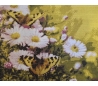 ערכת רקמה פרחים בלבן 50*40 סמ