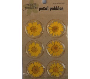 מדבקות פרחים באפוקסי - 6 חרציות צהובות