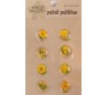 מדבקות פרחים קטנים באפוקסי - 8 בצהוב