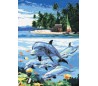 ערכת ציור לפי מספרים - אי הדולפינים