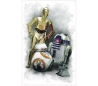  מדבקת קיר של הרובוטים C3PO R2D2 מלחמת הכוכבים  7 