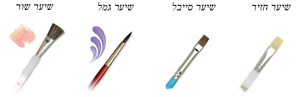 מכחולי ציור סוגי שיער שונים